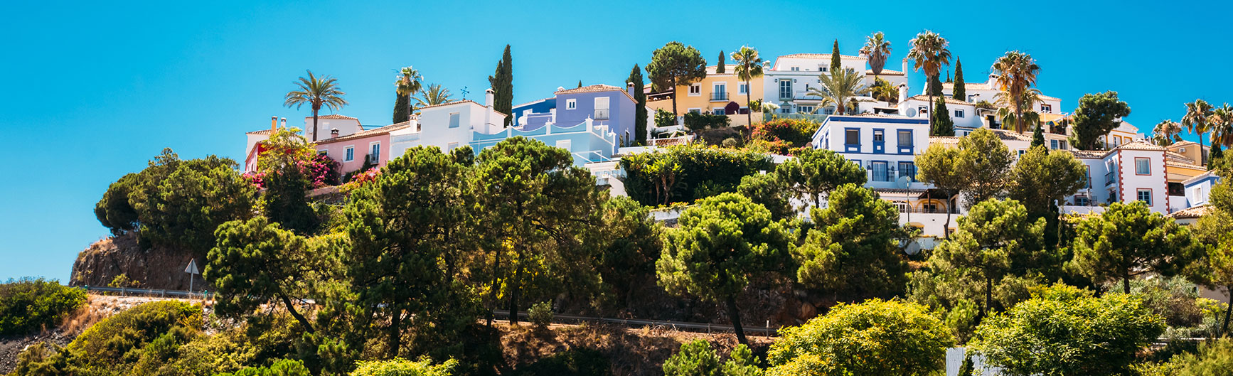 Building Surveys, Valuations, Expert Witness